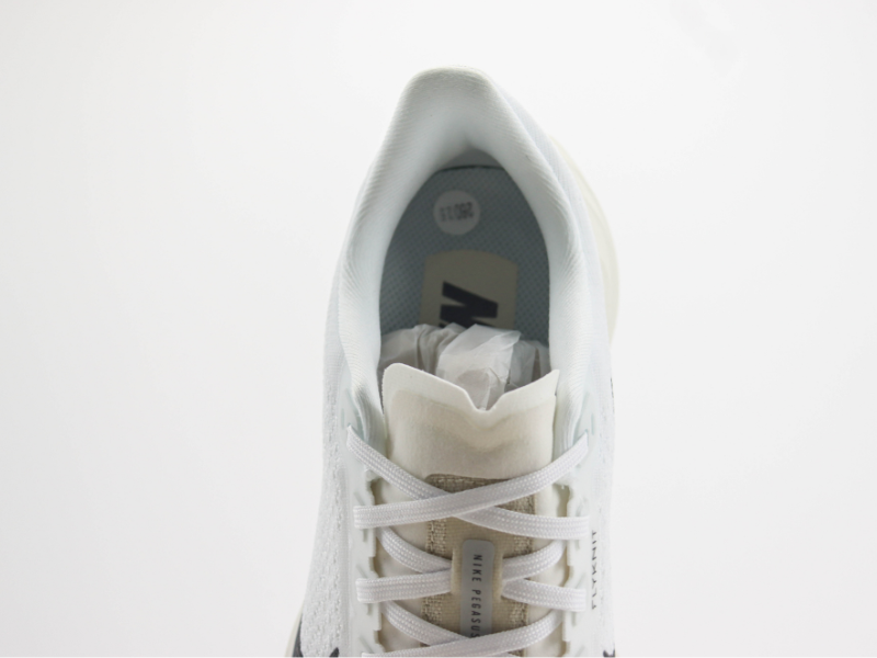 Nike Pegasus Plus "Black-White"